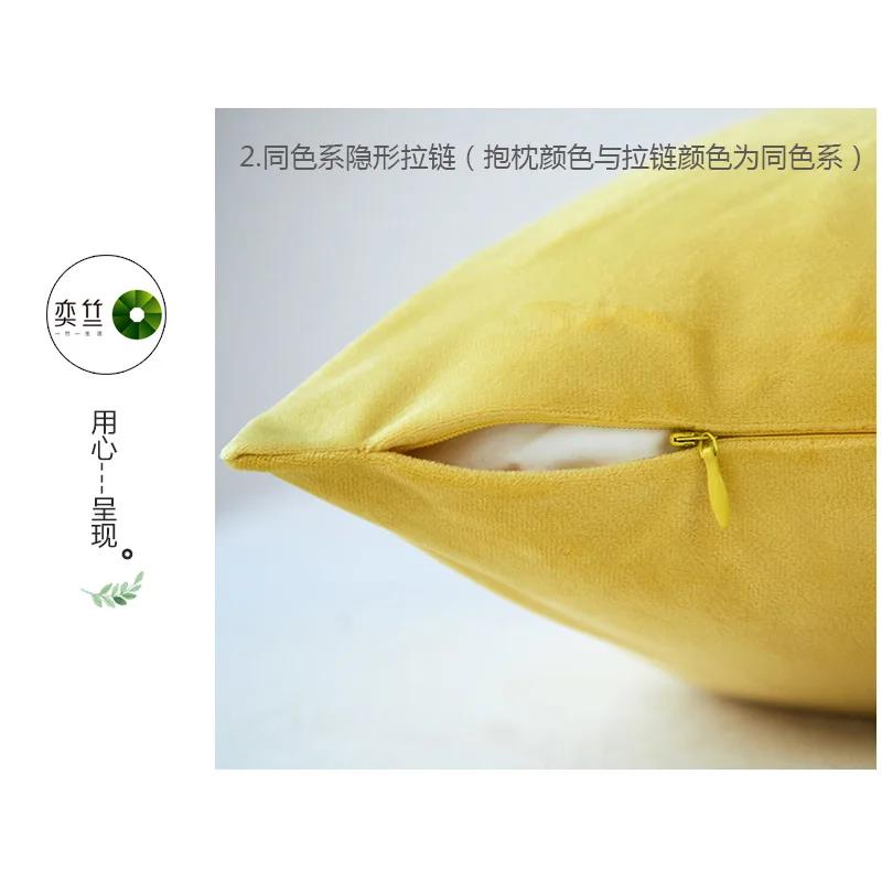 https://ae-pic-a1.aliexpress-media.com/kf/Sbdbce8bd1e1146aab401ff5a6deac05bc.jpg