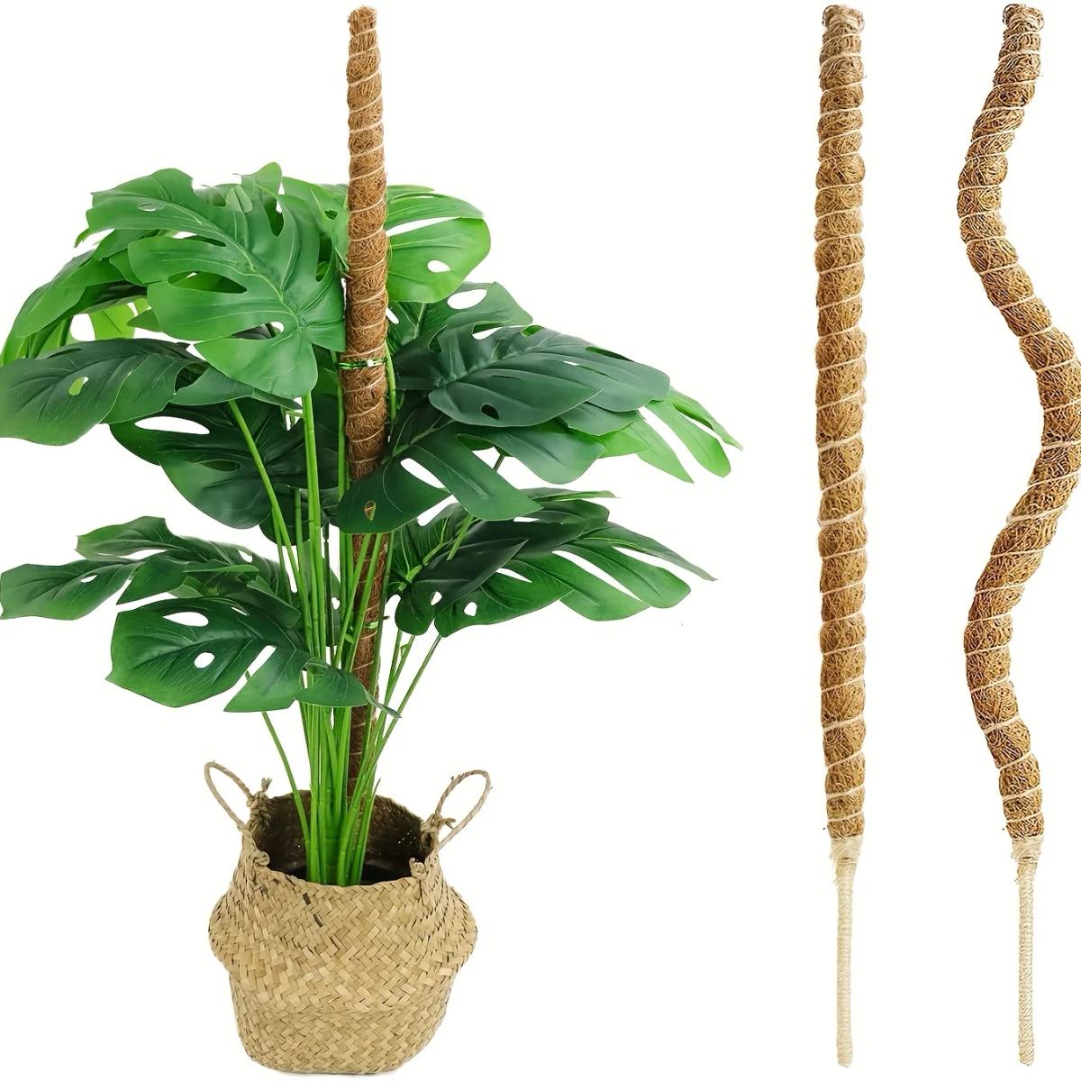 1 Uds., poste de musgo alto para plantas Monstera - estacas de plantas flexibles de 23,6/43,3 pulgadas para interiores, postes de musgo para plantas trepadoras