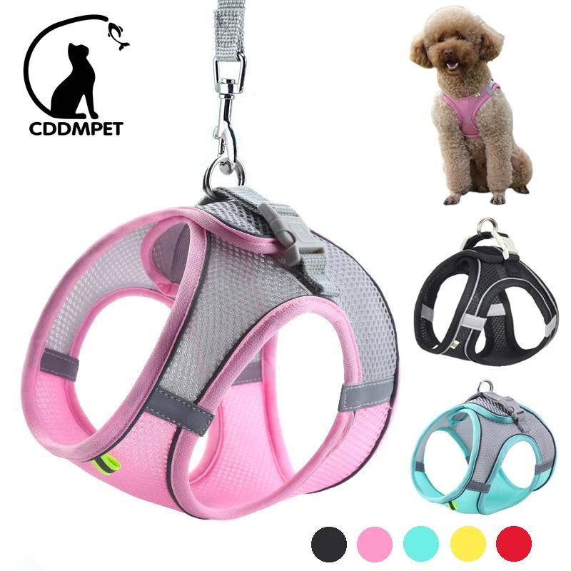 Conjunto de correa de arnés para perros pequeños, arnés ajustable para cachorros y gatos, chaleco, Bulldog Francés, Chihuahua, Pug, correa para caminar al aire libre